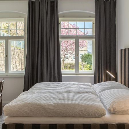 Villa Elbufer Bad Schandau Eksteriør bilde